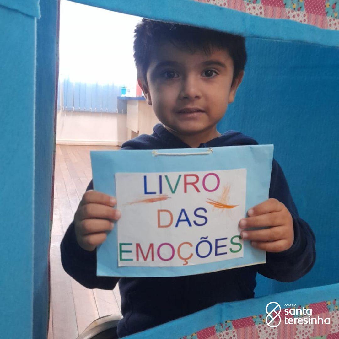 LIVRO DAS EMOÇOES